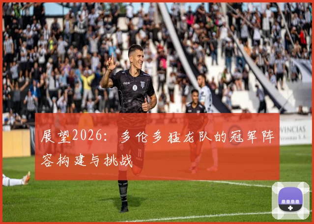 展望2026：多伦多猛龙队的冠军阵容构建与挑战